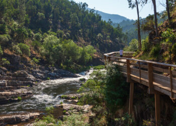 Passadiços do Paiva novamente nomeados para os World Travel Awards – Europa