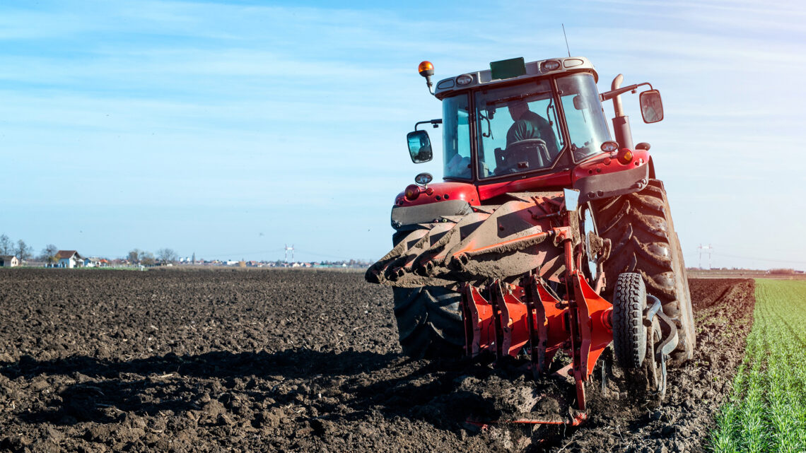 Abertas as candidaturas aos incentivos à produção agrícola nos modos de produção integrada e agricultura biológica