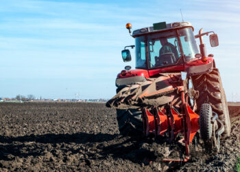 Abertas as candidaturas aos incentivos à produção agrícola nos modos de produção integrada e agricultura biológica