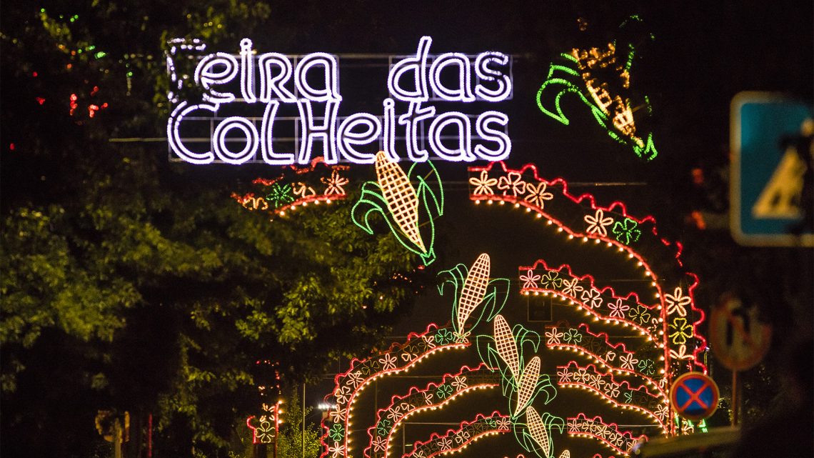 Inscrições abertas para monitorização de espaços expositivos na Feira das Colheitas 2024