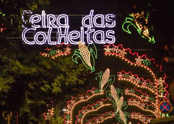 Inscrições abertas para monitorização de espaços expositivos na Feira das Colheitas 2024