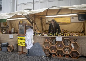 Inscrições abertas para a feira de produtos regionais e de artesanato do Festival da Castanha 2024