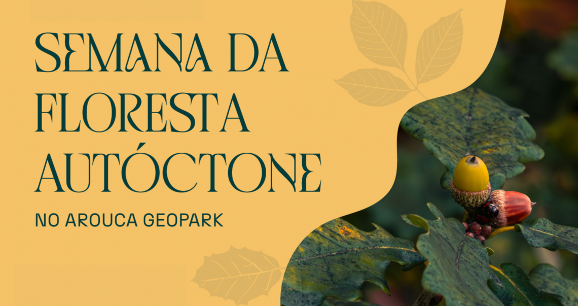 Arouca dedica semana à celebração da floresta autóctone