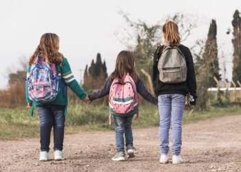 Candidaturas abertas para transportes escolares no ano letivo 2025/2026