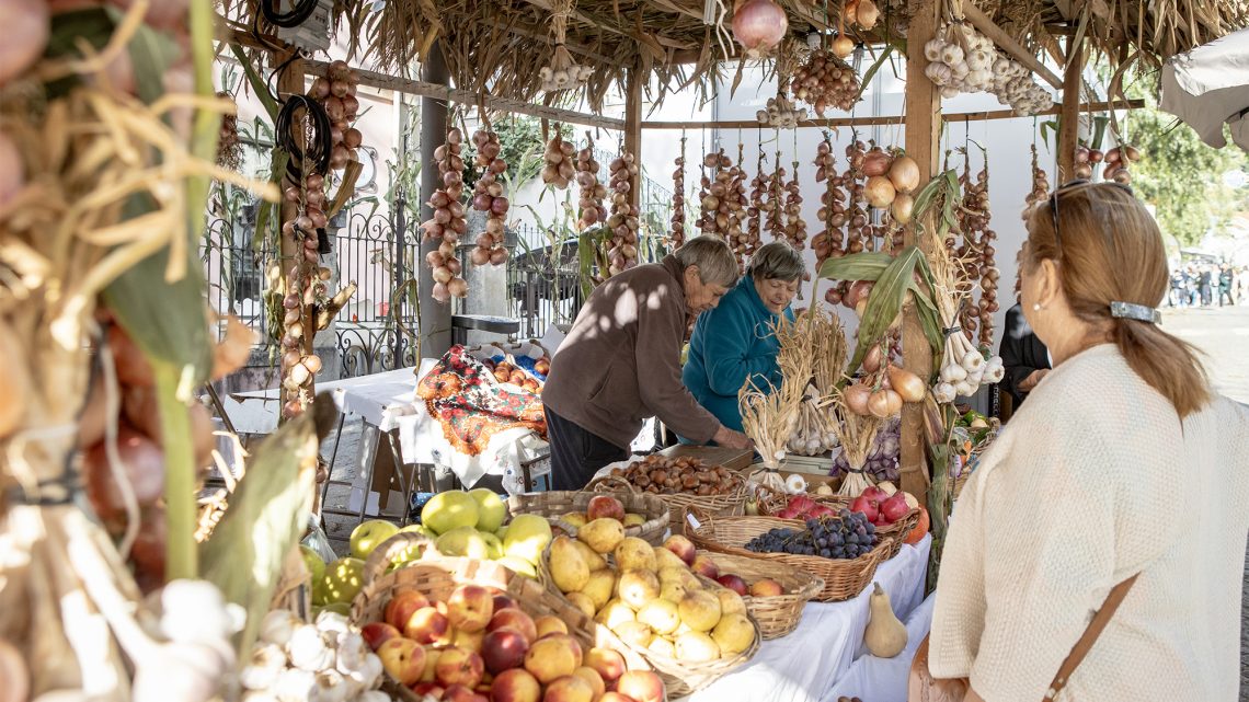 Inscrições abertas para os espaços da Feira das Colheitas 2025