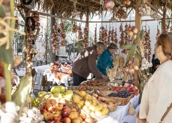 Inscrições abertas para os espaços da Feira das Colheitas 2025