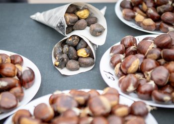 Produtores já se podem inscrever no concurso “Melhor Castanha de Arouca”