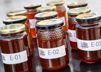 Inscrições abertas para o concurso “Melhor Mel de Arouca”