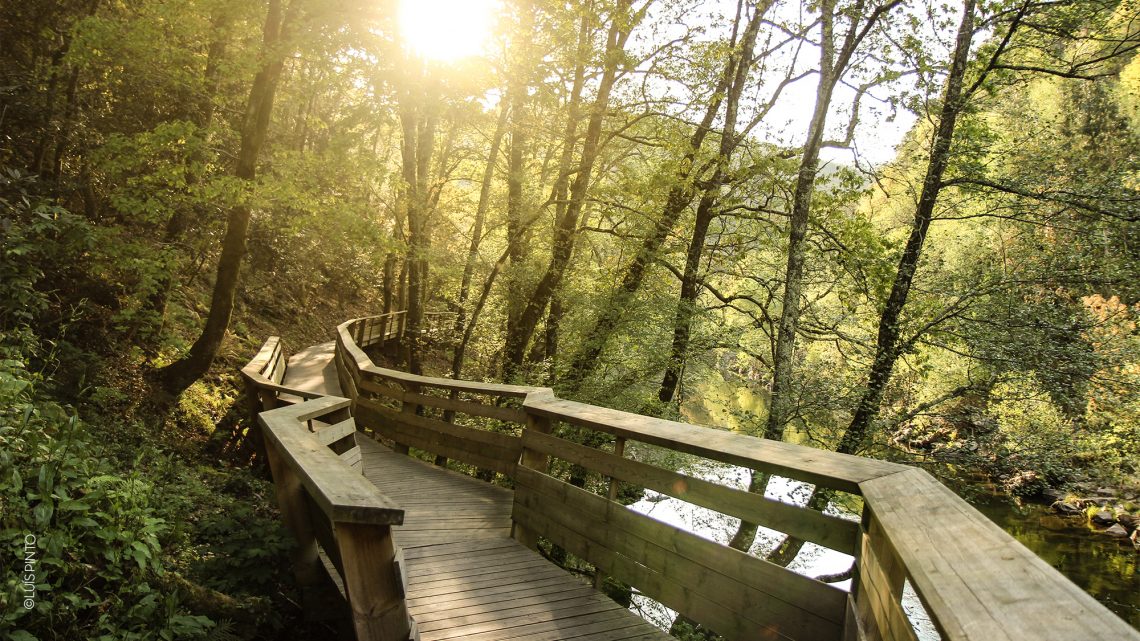 Passadiços do Paiva novamente nomeados para os World Travel Awards