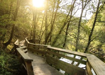 Passadiços do Paiva novamente nomeados para os World Travel Awards