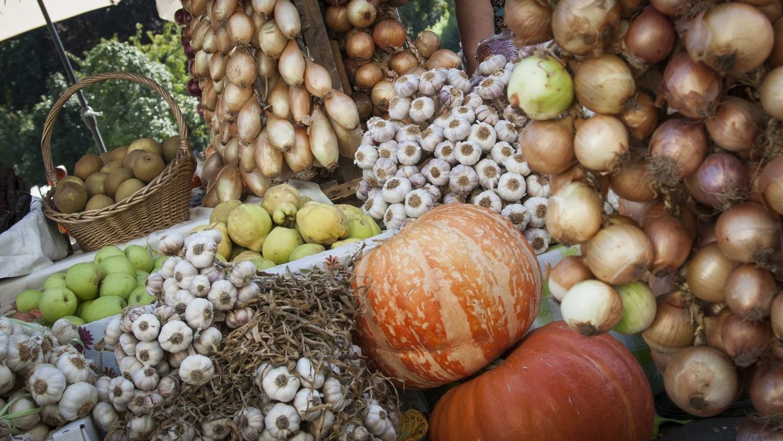 Ciclo de capacitação para agricultores do concelho arranca esta semana