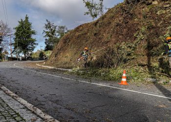 Município promove sessões de esclarecimento sobre novas regras de execução das faixas de gestão de combustível