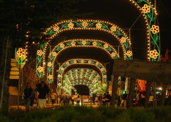 Feira das Colheitas 2026: inscrições abertas para exploração das tasquinhas