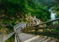 Passadiços do Paiva voltam a disputar os World Travel Awards – Europa