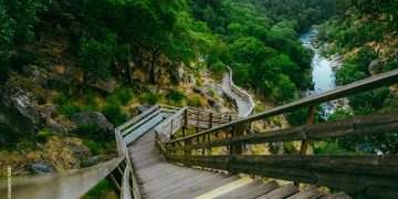 Passadiços do Paiva voltam a disputar os World Travel Awards – Europa