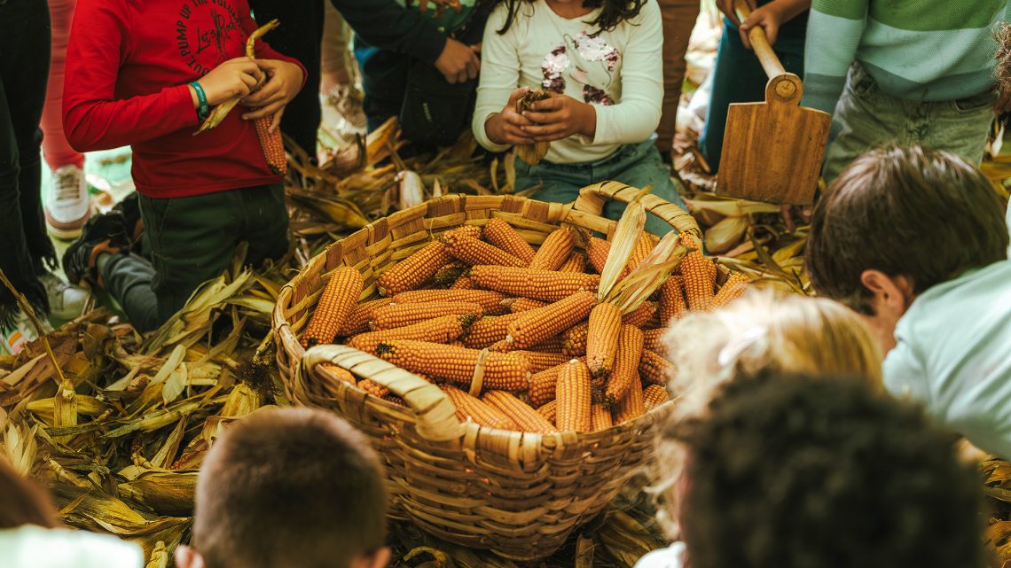 Feira das Colheitas 2026 com espaço totalmente dedicado às crianças