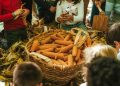 Feira das Colheitas 2026 com espaço totalmente dedicado às crianças