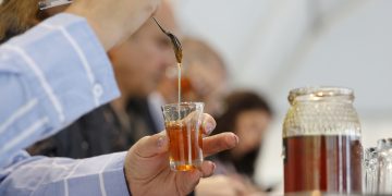 Inscrições abertas para o concurso “Melhor Mel de Arouca” 2026