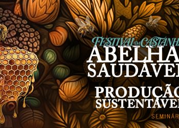 Festival da Castanha 2026: seminário debate saúde das abelhas e produção apícola sustentável